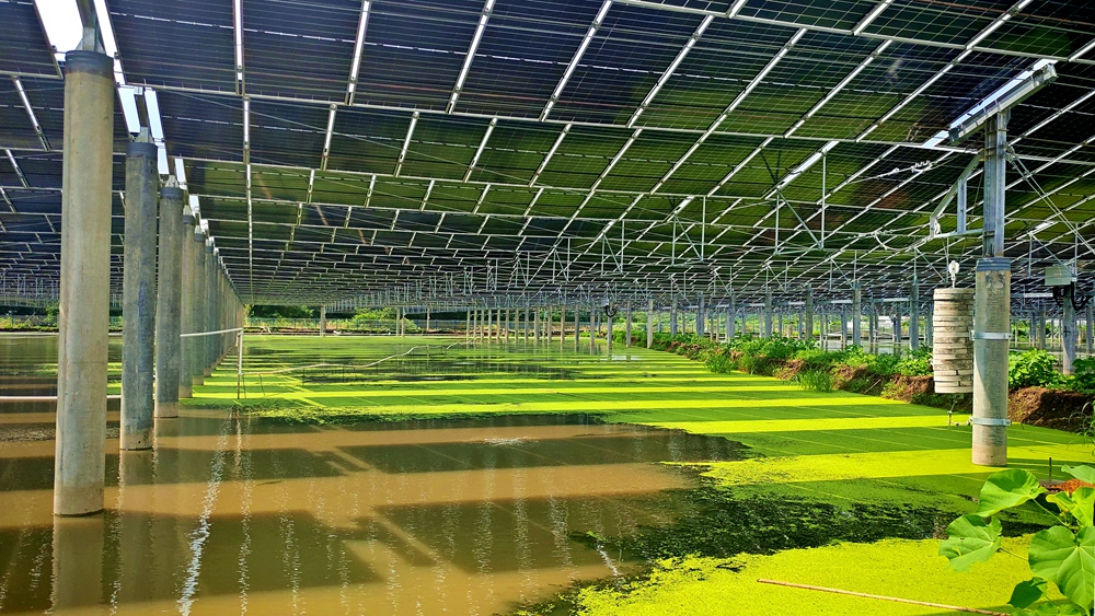 8_副本.jpg